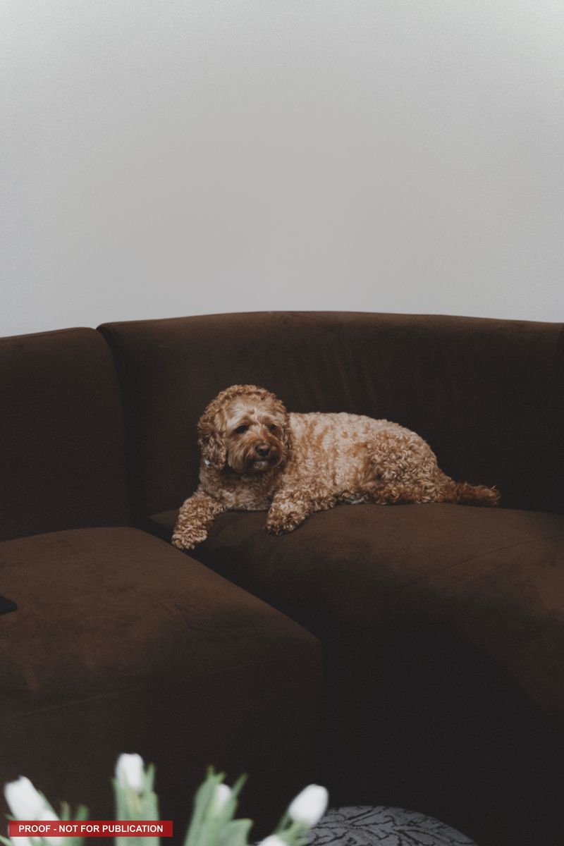 A calm moment in the studio lounge.